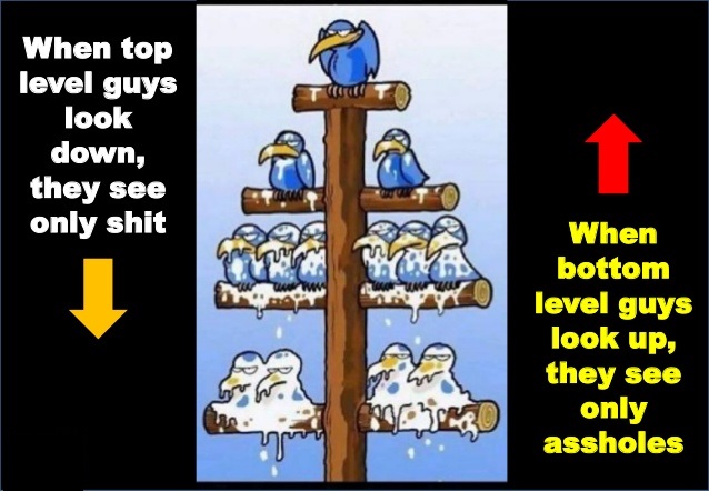 птицы на столбе - иерархия менеджеров